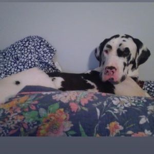 Meet your Posher, Heather